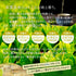 低溫陳年倉田茶 100g